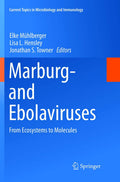Marburg- and Ebolaviruses: From Ecosystems to Molecules - Expert