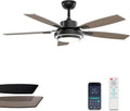 Ceiling Fans with Lights and Remote Control - Quiet 52 in Modern Black
