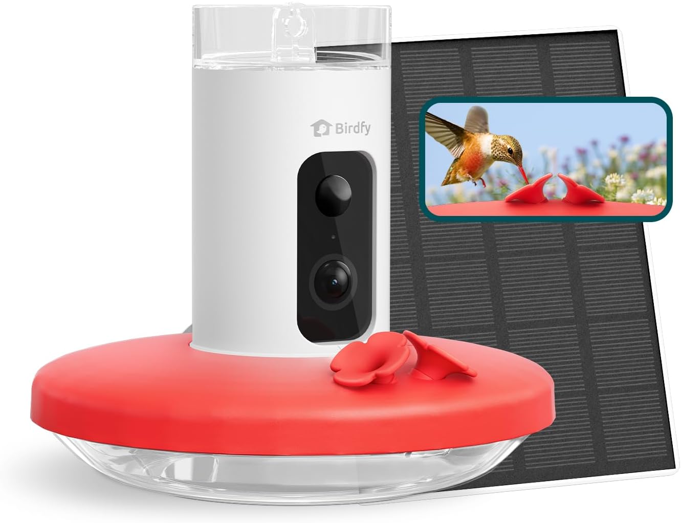 Birdfy Smart Hummingbird Feeder with Camera for Bird Lovers