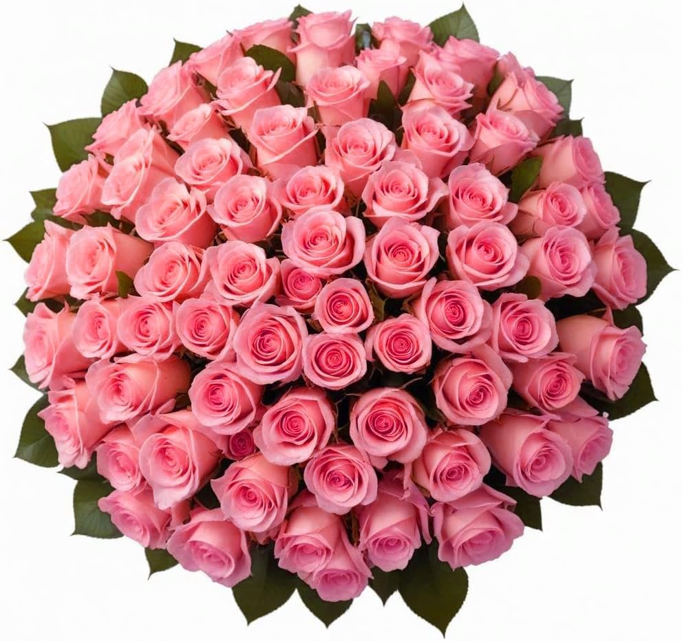 100 Pink Roses Bulk Roses for Delivery Gift for Any Occasion
