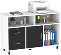 Wood File Cabinet 2 Drawer Mobile Lateral Filing Cabinet - Compact