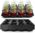 4 Inch 60 Pack Nursery Pots with Humidity Domes & 5 Carry Trays
