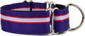 If It Barks 1.5 in Martingale Collar for Dogs - Strong and Comfy