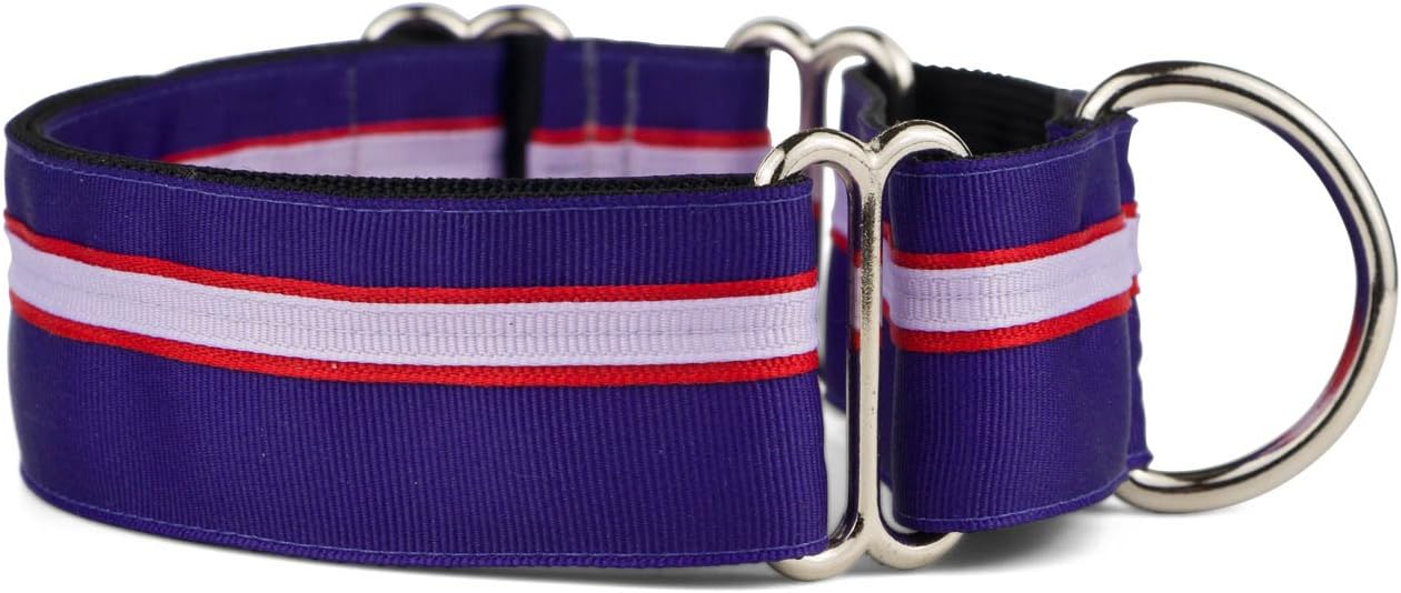 If It Barks 1.5in Martingale Collar for Dogs - Adjustable Comfort