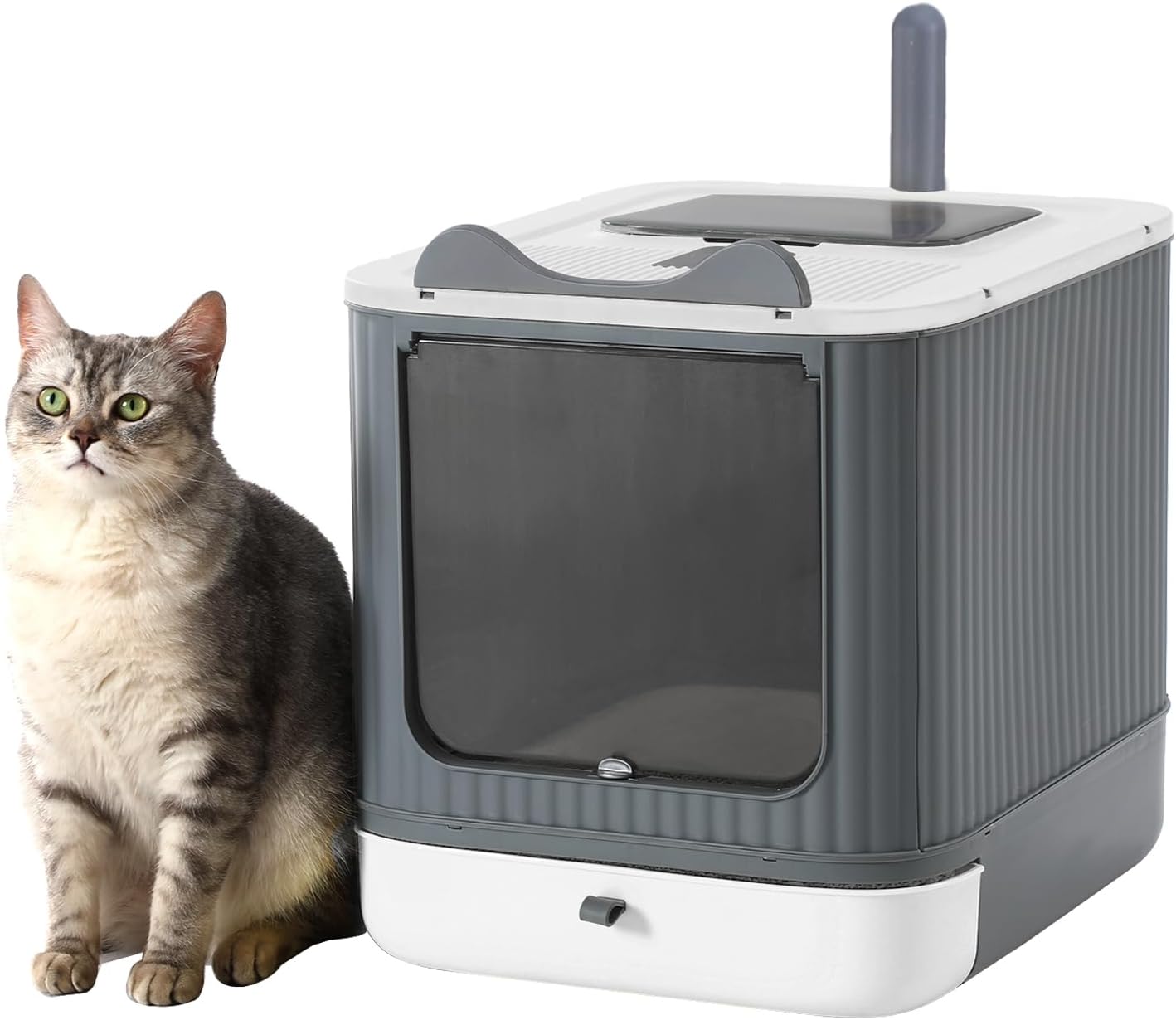 Foldable Cat Litter Box with Lid for Easy Cleaning and Odor Control