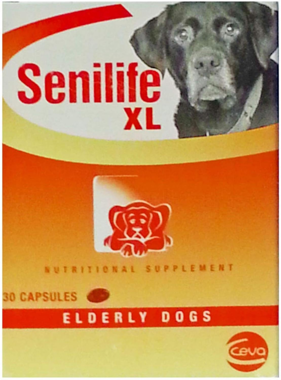 Senilife XL Capsules for Neuroprotective Brain Aging Support