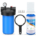 PUREPLUS Whole House Water Filter for Iron and Manganese Removal