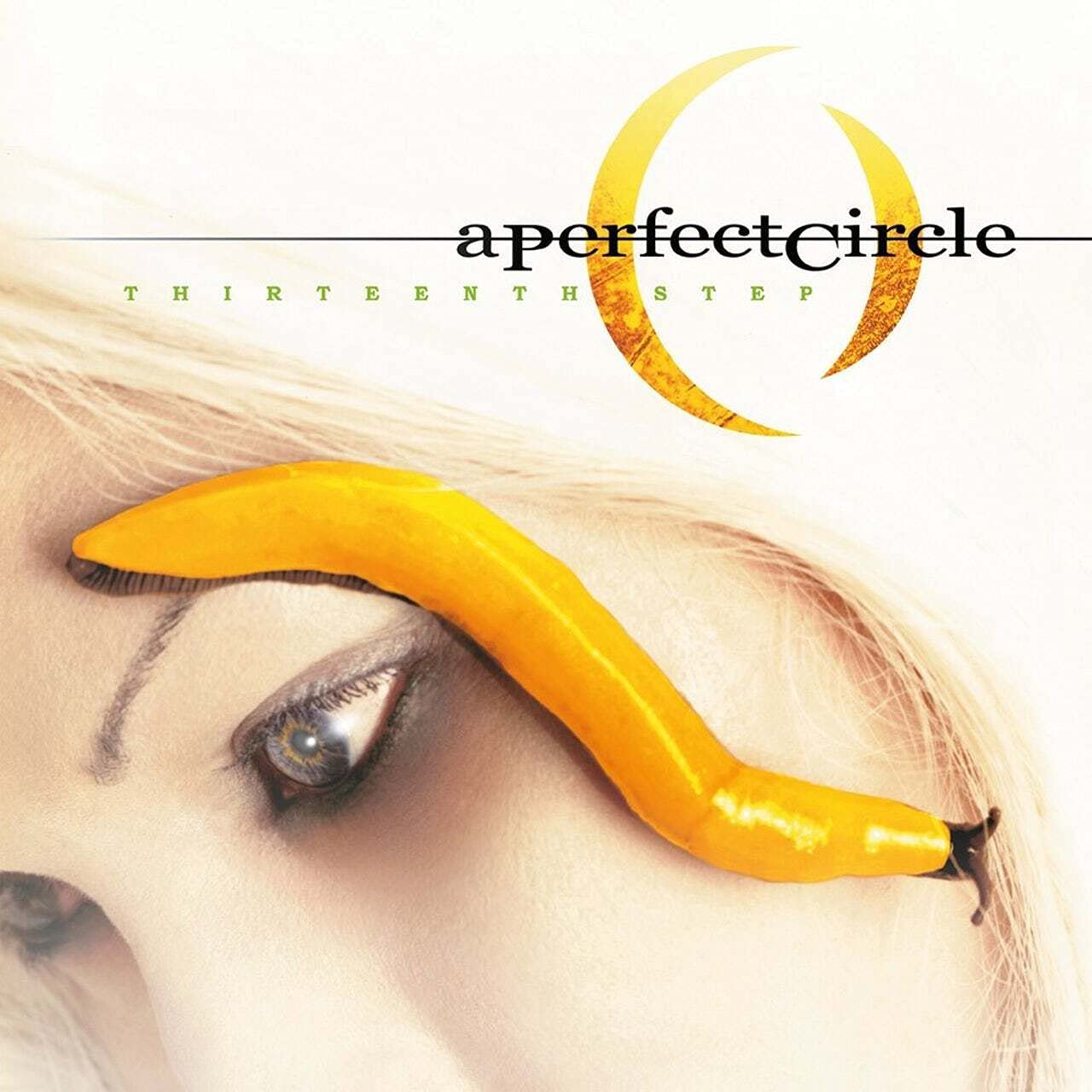 Thirteenth Step Vinyl Record by Music on Vinyl - A Must-Have