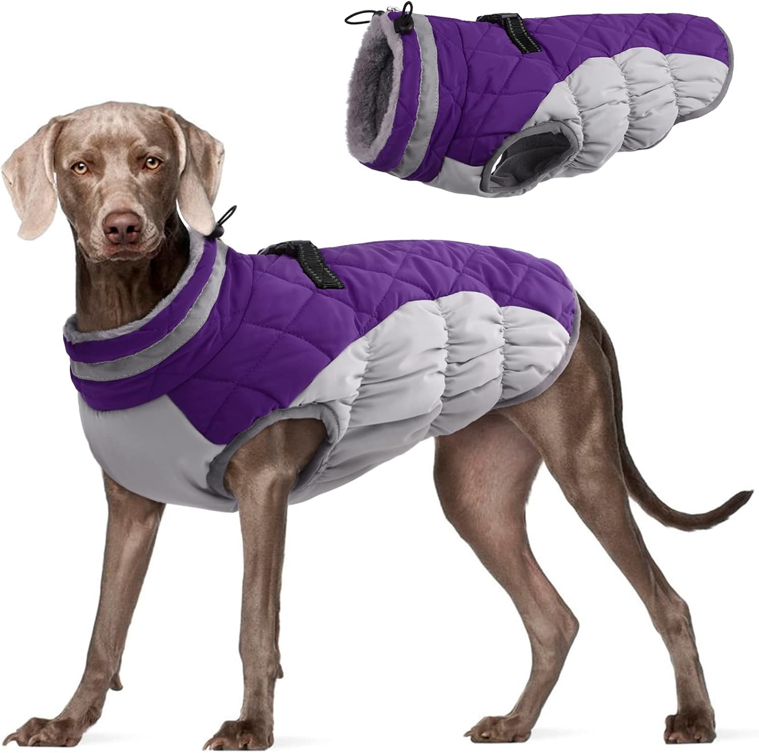 FUAMEY Dog Coat for Large Dogs: Waterproof Winter Jacket