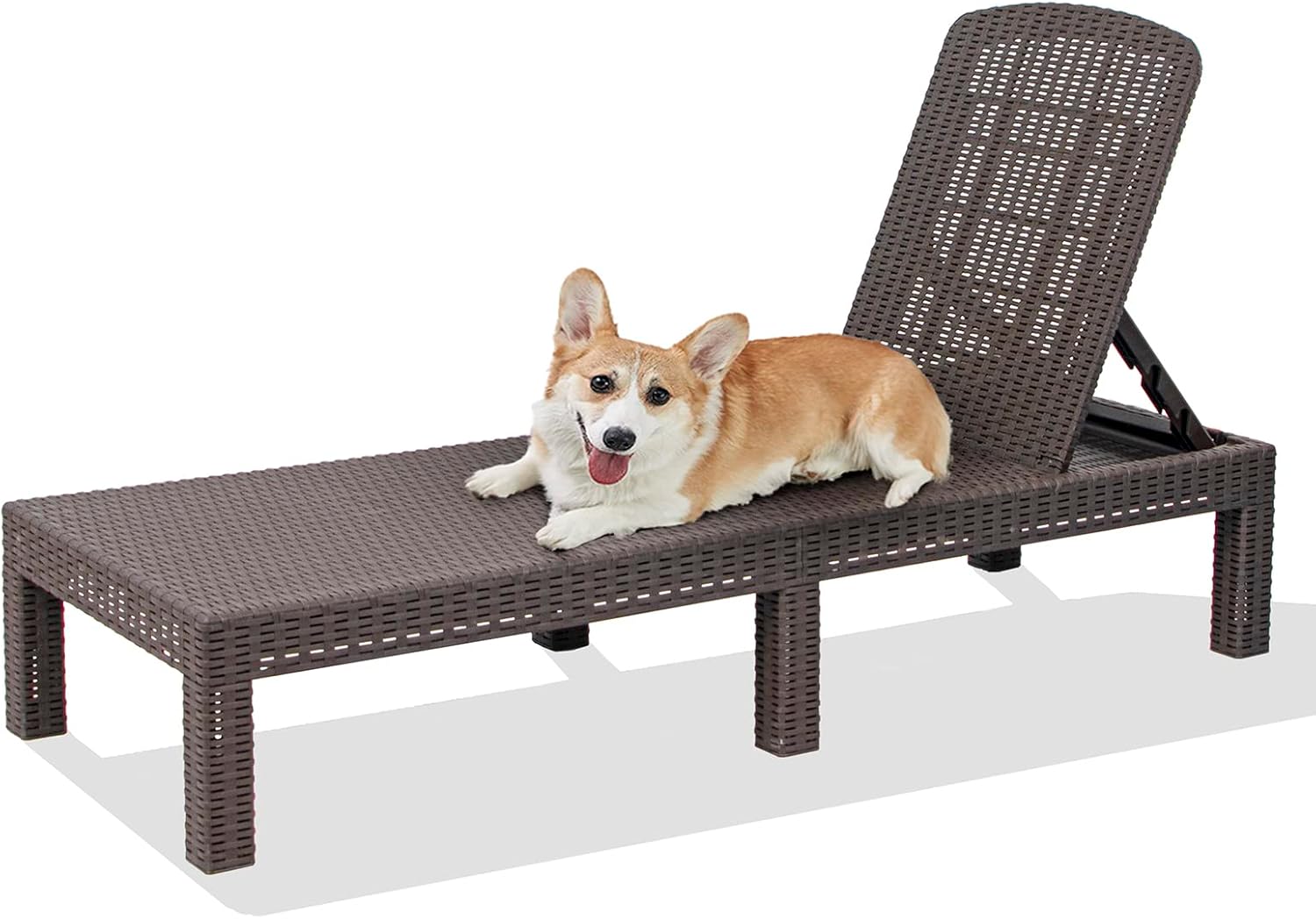 DIMAR GARDEN Outdoor Chaise Lounge for Poolside Relaxation