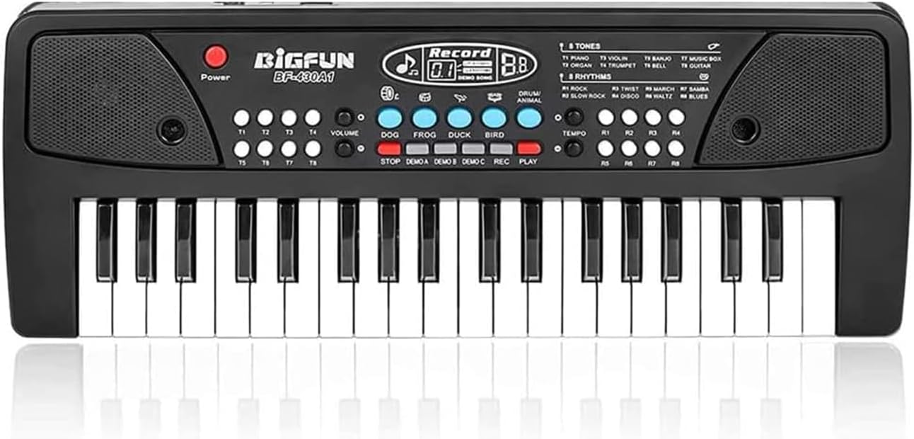 Portable Kids Piano Keyboard with Microphone by LeeQee