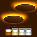 9 Inch LED Ceiling Light with Night Light - Selectable Color Temps