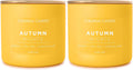 Colonial Candle Autumn Nights Scented Jar Candle for Cozy Vibes