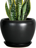Ceramic Planter Pot 8 in Black - Modern Indoor Pot with Drainage