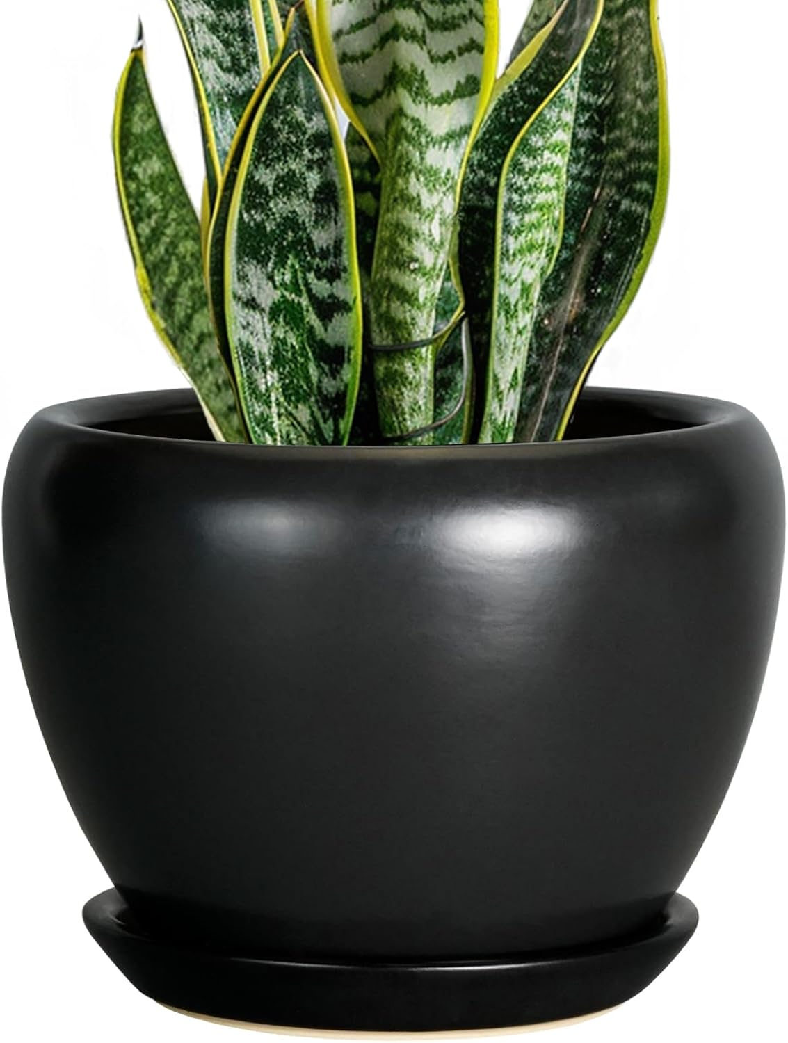 Ceramic Planter Pot - 8 Inch Indoor and Outdoor Flower Pot