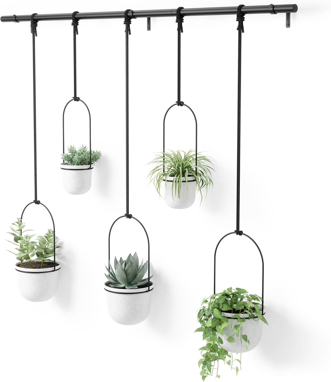 Umbra Triflora Hanging Planter Set of 5 for Stylish Plant Display