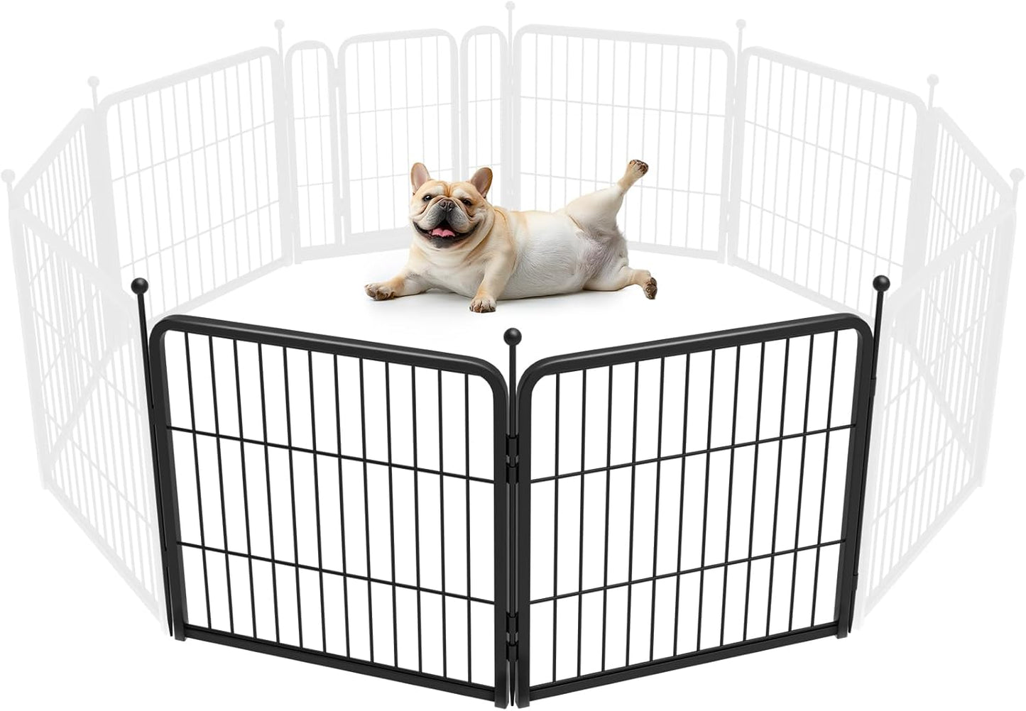 FXW Rollick Unleashed Dog Playpen for Indoor and Outdoor Use