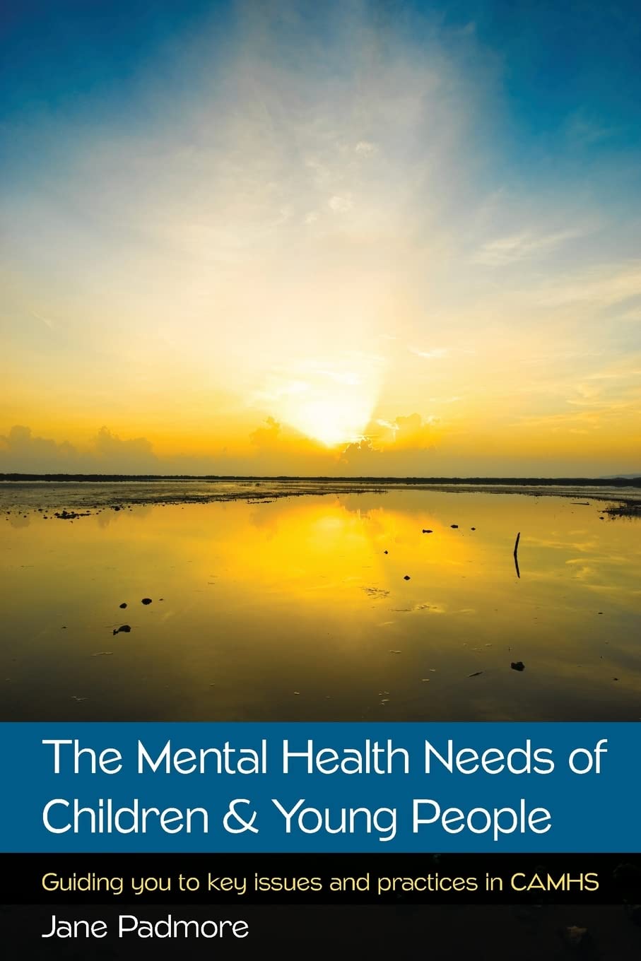 The Mental Health Needs of Children & Young People in CAMHS