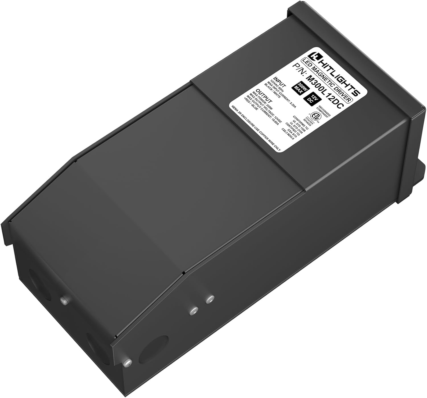 HitLights 300 Watt Dimmable Driver for LED Strip Lights