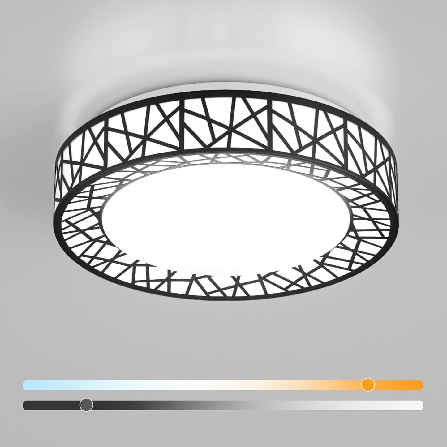 12 Inch Flush Mount Ceiling Light Fixture with Adjustable Brightness