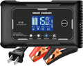 lifepo4 charger 15-Amp Fully-Automatic Smart Charger - Fast