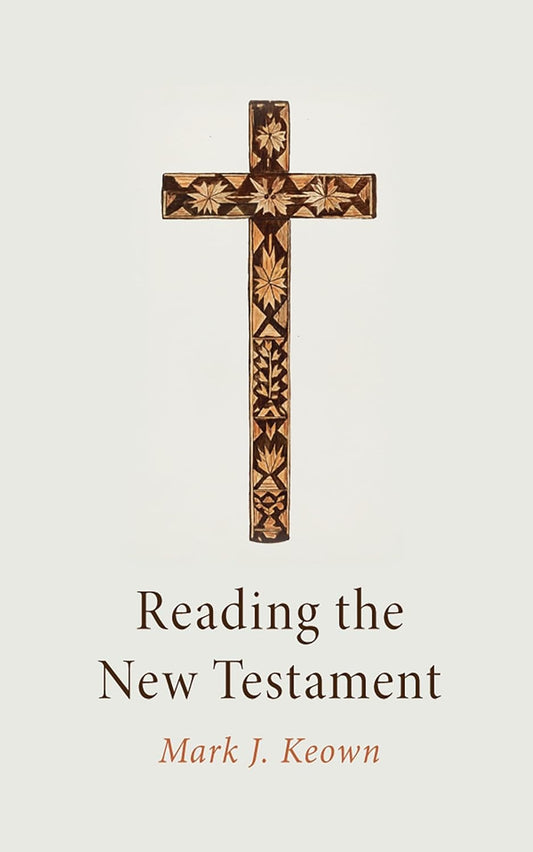 Reading the New Testament: A Comprehensive Guide for All