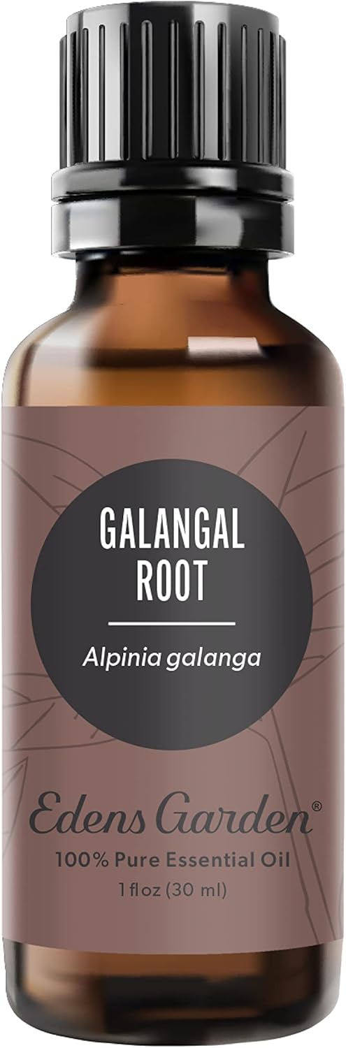 Galangal Root Essential Oil - 100% Pure and Natural Aromatherapy