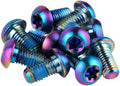 SRAM Titanium T25 Rotor Bolt Kit - Rainbow set of 12