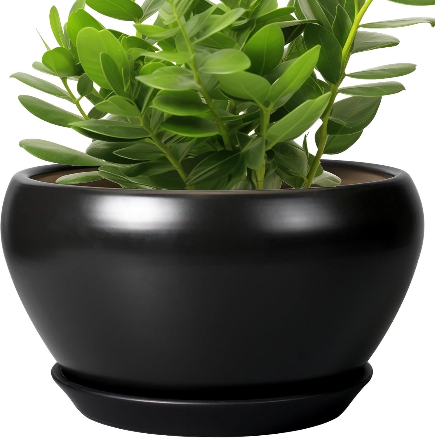 Ceramic Pot for Plants - 11 Inch Indoor Planter with Saucer