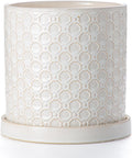 8 Inch Plant Pot Ceramic Planter with Drainage Hole - Modern White