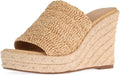 Women Platform Sandals Wedge Ankle Strap Open Toe - 4.3in Heel