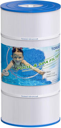 Pool Filter Replacement PA90 CX900RE C900 - Reliable Clean Water