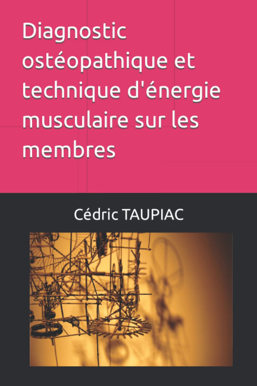 Diagnostic Osteopathique et Technique d'Energie Musculaire Review