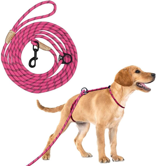 12ft No Pull No Choke Dog Leash for Comfortable Walking