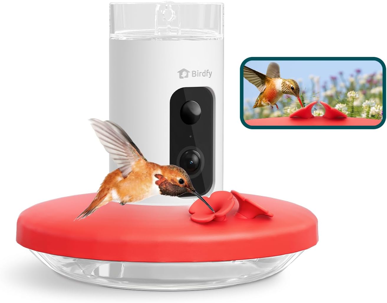 Smart Hummingbird Feeder with AI Camera & Cloud Storage