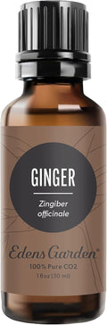 Ginger CO2 Essential Oil - Potent Aromatic Relief for Nausea