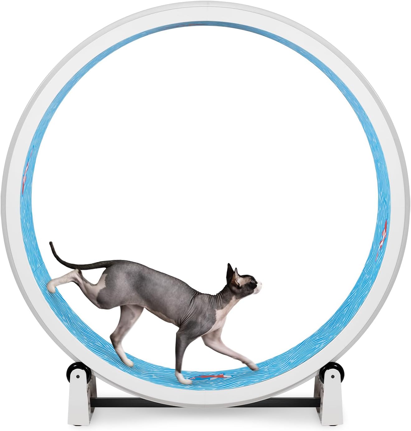 One Fast Cat Exercise Wheel - Safe Indoor Fun for Cats