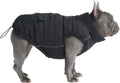 Spark Paws Dog Winter Jacket - Warm Water-Resistant Parka XXL