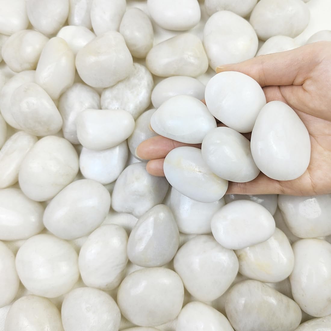 20 lbs Polished White River Rocks for Indoor Plants and Decor