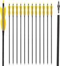 31 in Carbon Hunting Arrows Pack of 12 - Stable Target Practice