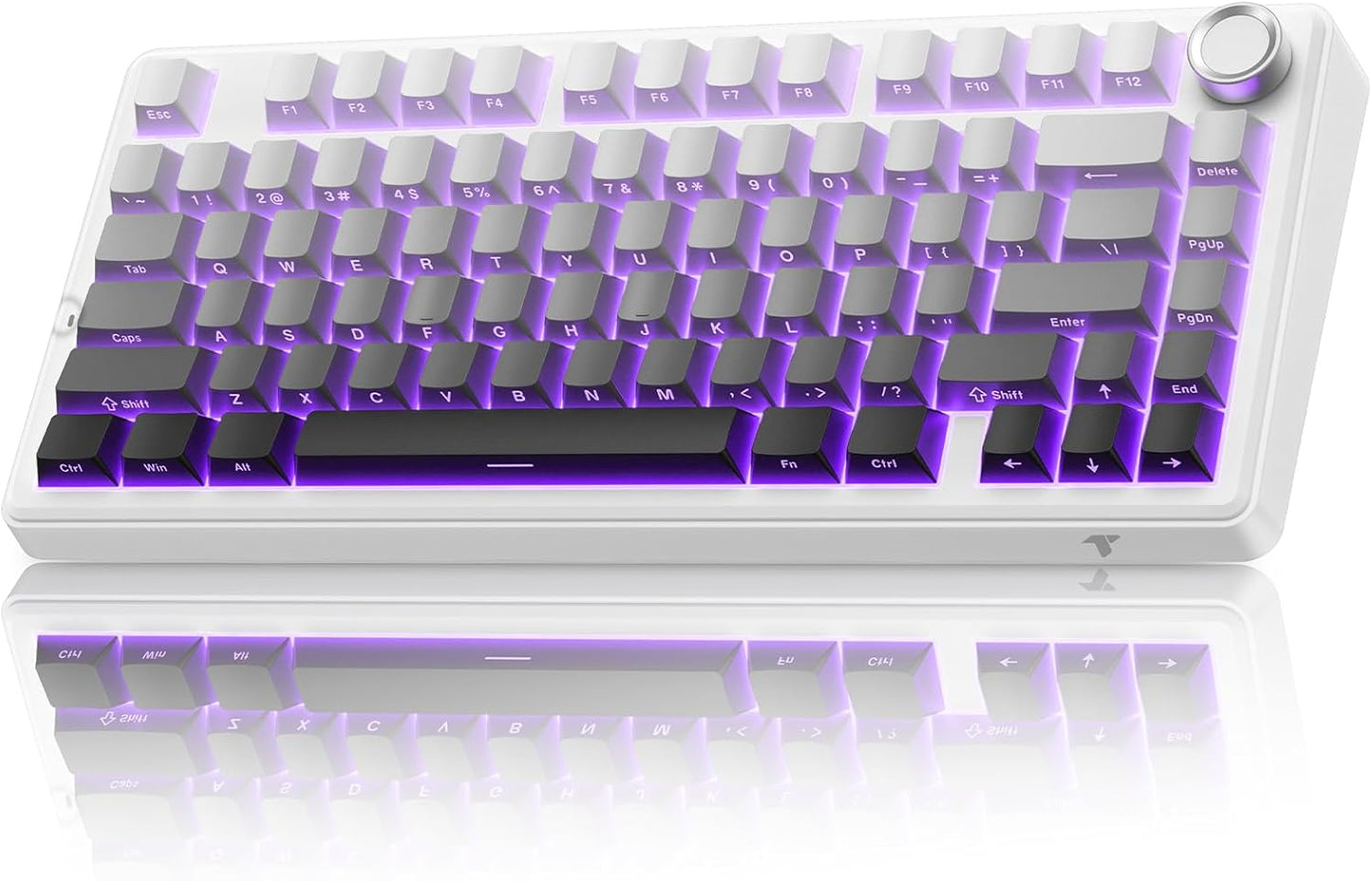 TECURS 75% Mechanical Keyboard for Gaming & Office Use