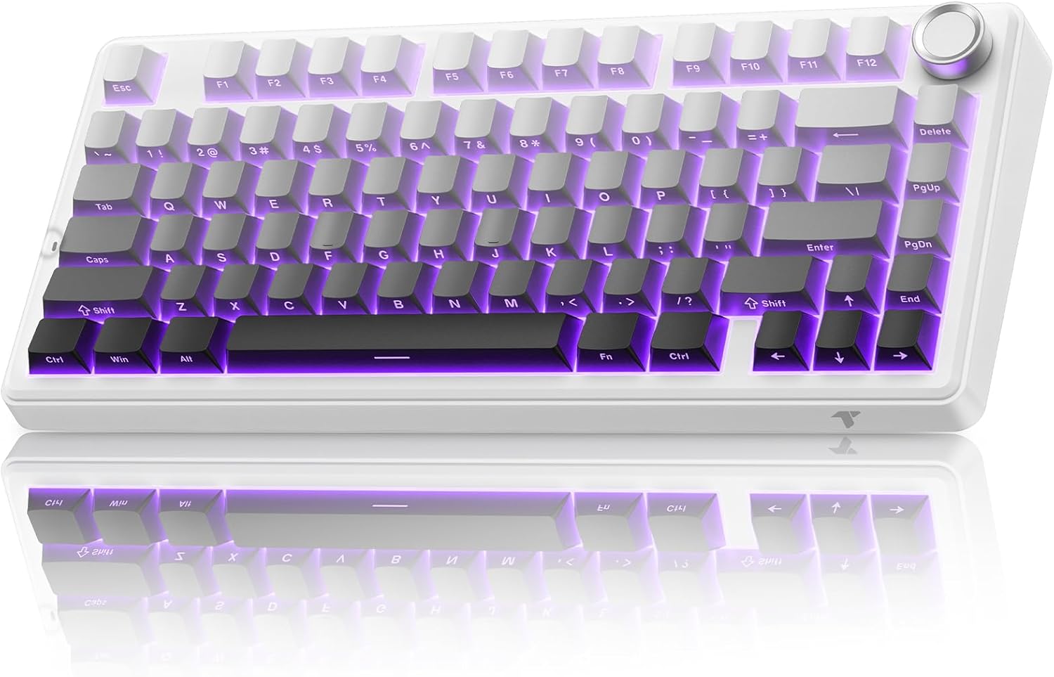 TECURS 75% Mechanical Keyboard for Gaming & Office Use