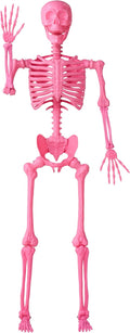 JOYIN 5.6 FT Posable Halloween Pink Skeleton - Life Size Decor