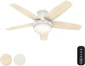 Hunter Fan 48 in Low Profile Fresh White Ceiling Fan with Light