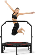 40 inch Rebounder for Adult Mini Trampoline - Stable Indoor Cardio