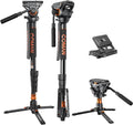 Monopod for Camera with Q6 Fluid Head and Tripod Feet - Stable Support
