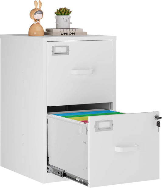 2 Drawer Vertical File Cabinet with Lock for Office Storage