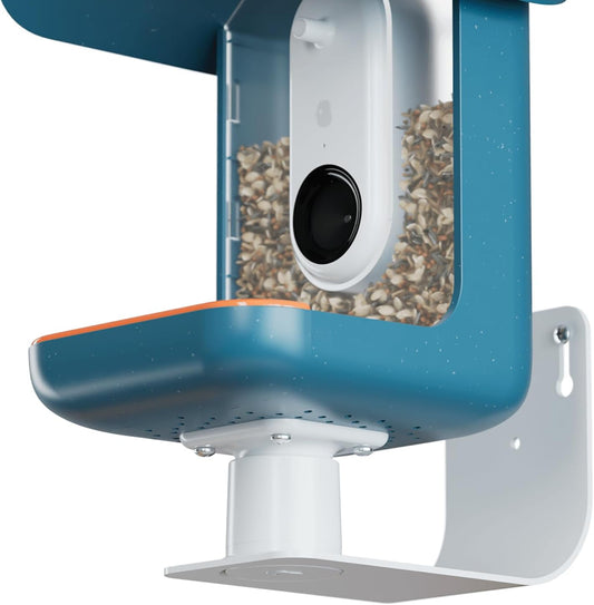 Durable Bird Feeder Wall Mount