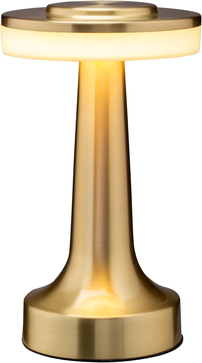 O'Bright LED Table Lamp: Rechargeable 48H Battery, 3 Brightness Levels!