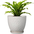 Ceramic 8 in Plant Pot with Drainage Hole and Saucer - Modern White